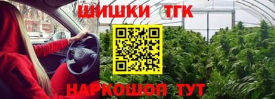 гидра Рузаевка