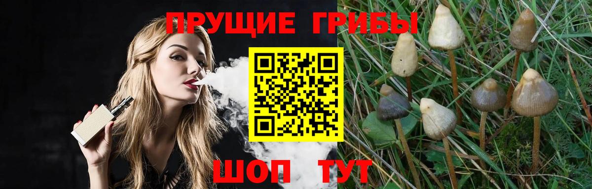 Псилоцибиновые грибы прущие грибы  Галлюциногенные грибы мухоморы  цена   Вход с VPN  Старая Купавна 